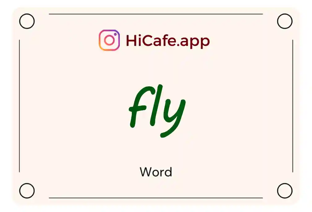 Meaning and usage of fly word