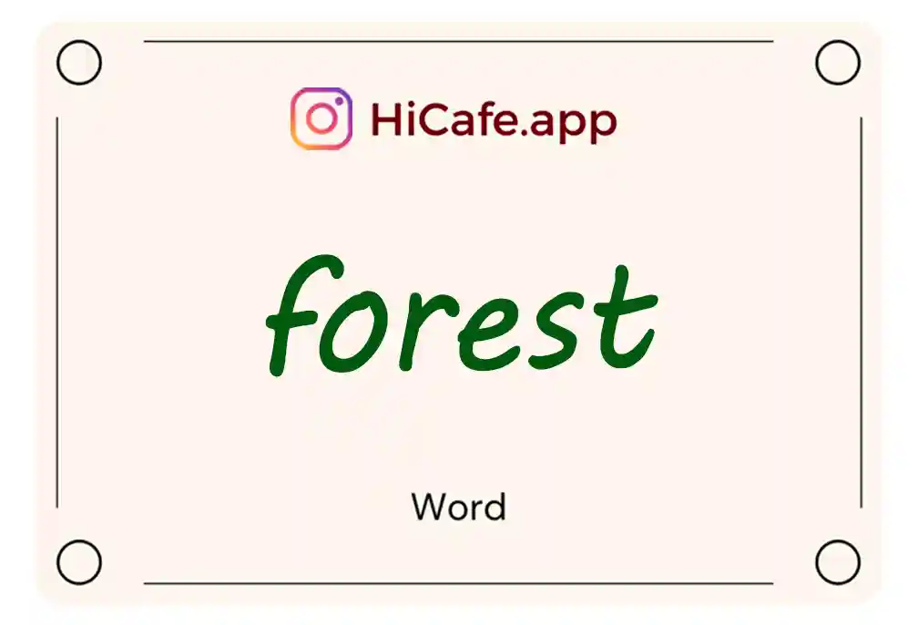 Meaning and usage of forest word