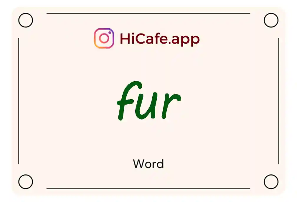 Meaning and usage of fur word