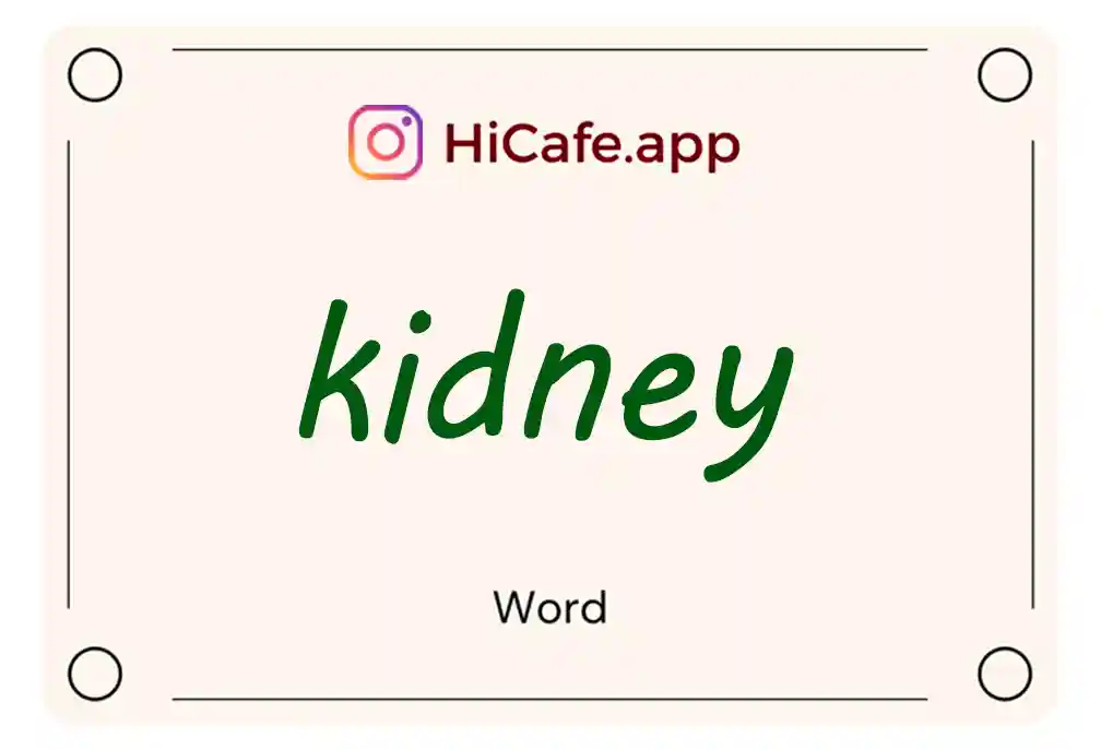 Meaning and usage of kidney word